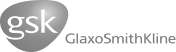gsk-seek logo